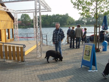 Alf08a