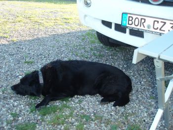 Bild1234