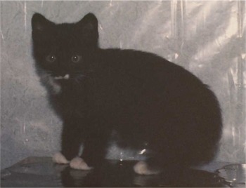 Bild3