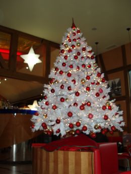 Bild4