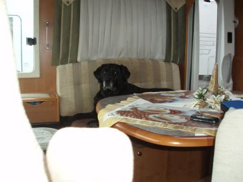 Bild 06