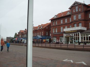 PA050134a