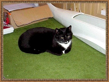 SAMSON024a