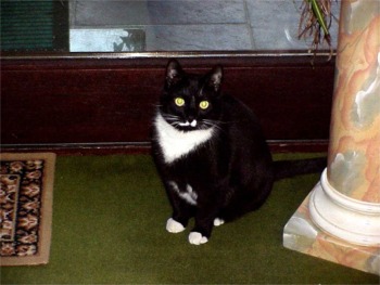 SAMSON074a