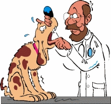 clipart_tierarzt clipart_tierarzt