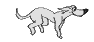hunde6
