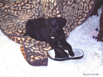 kira023a kira023a